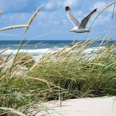 Appartement Penthouse With Large Sun Terrace Knokke-Heist